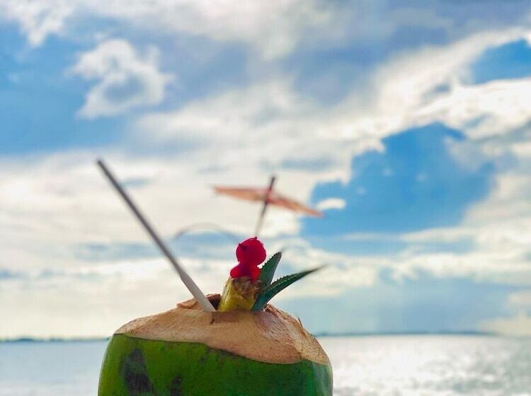 هتل Sailors Beach Fiji