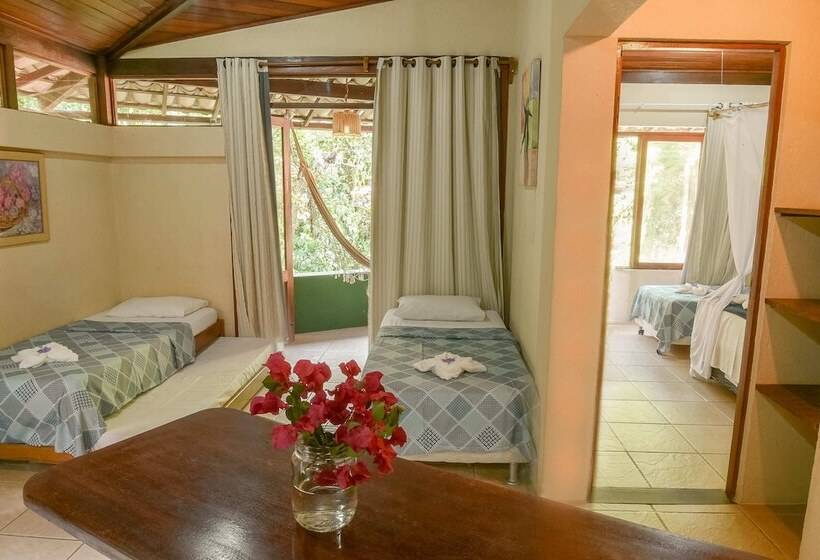 ホテル Pousada Sonhos De Praia Chalés