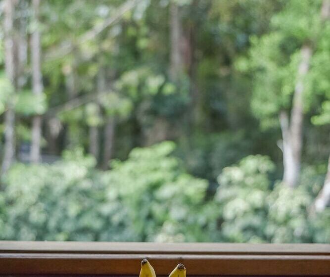 ホテル Pousada Sonhos De Praia Chalés