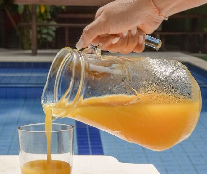 ホテル Pousada Sonhos De Praia Chalés