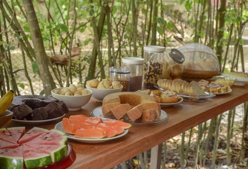 ホテル Pousada Sonhos De Praia Chalés