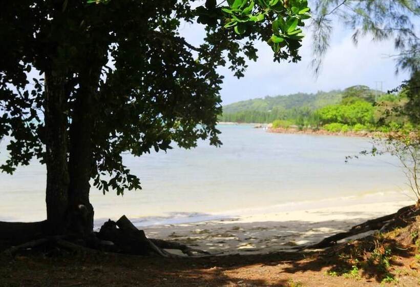 Lone Self Catering Apartment