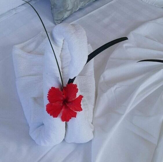 Lone Self Catering Apartment