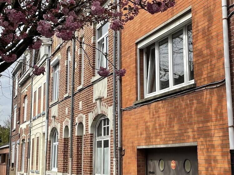 פנסיון Belle Maison Avec Grand Jardin Et Garage