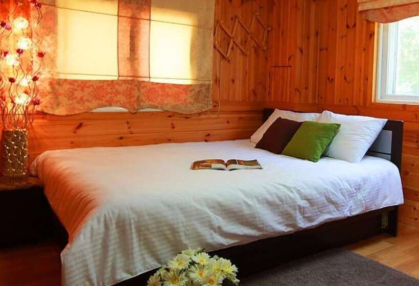 Gapyeong Valley In The Forest Pension