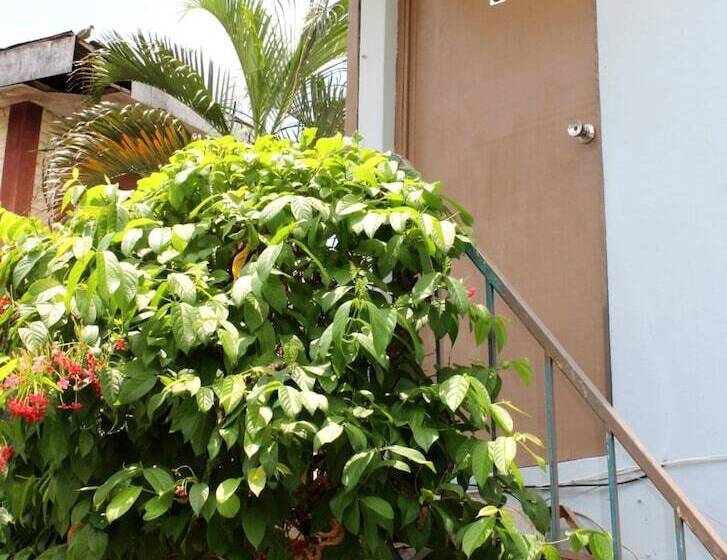 Пансион Ximenas Guest House