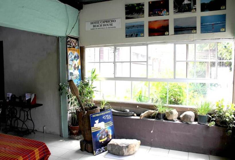 Пансион Ximenas Guest House