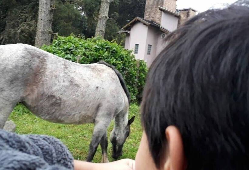 Tiny House Garden   Praia Grande   Sc