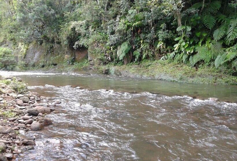 Tiny House Garden   Praia Grande   Sc