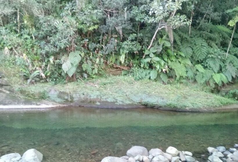 Tiny House Garden   Praia Grande   Sc
