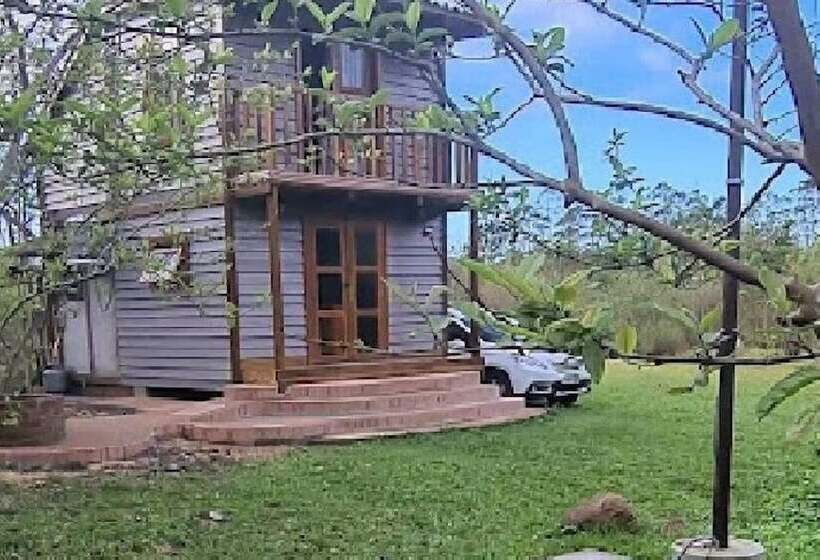 Tiny House Garden   Praia Grande   Sc