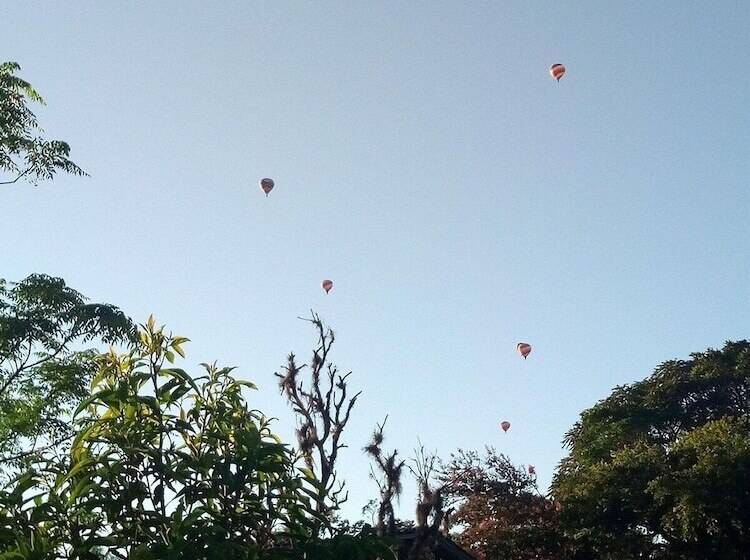 Tiny House Garden   Praia Grande   Sc