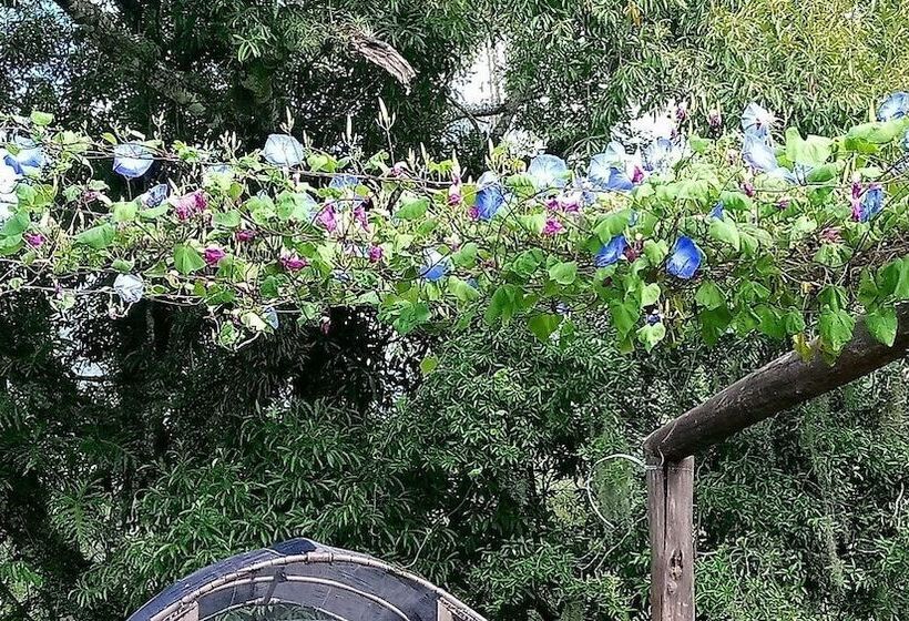 Tiny House Garden   Praia Grande   Sc