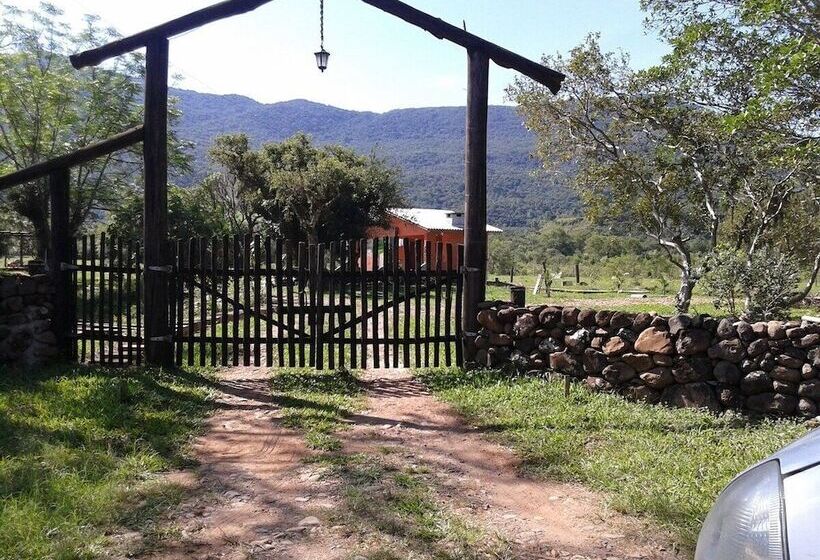 Tiny House Garden   Praia Grande   Sc