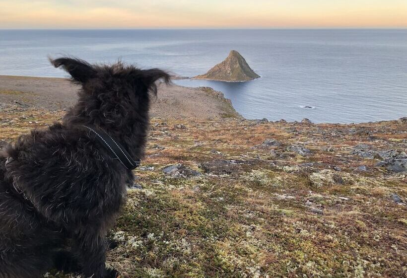 渡假胜地  Midnattsol Rom Og Hytter