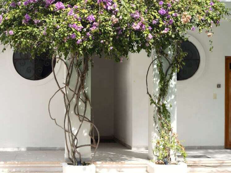 Sonido Del Mar Hotel And Yoga Loft