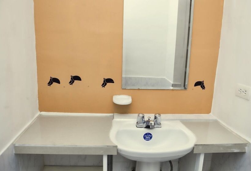 Tropica Hotel Boutique Hostel