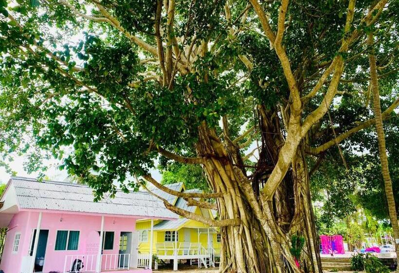 Общежитие Slumber Party Beach Koh Phangan