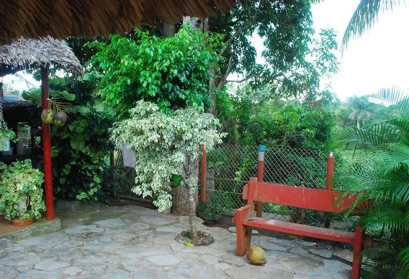 تختخواب و صبحانه Hostal Trujillo