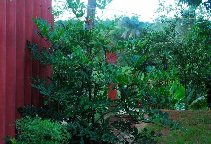 تختخواب و صبحانه Hostal Trujillo