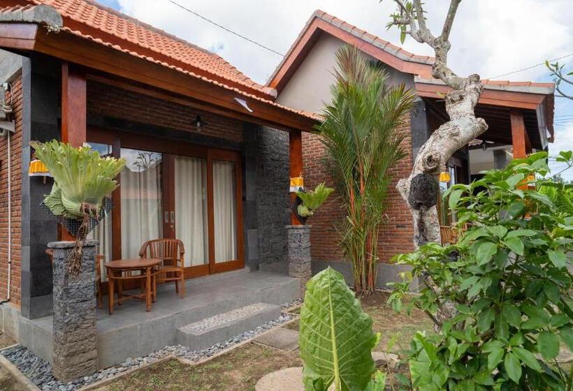 住宿加早餐  Vinaya Homestay