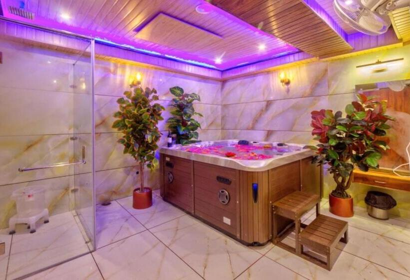 Grg Hotel Samiru Manali Near Durga Temple