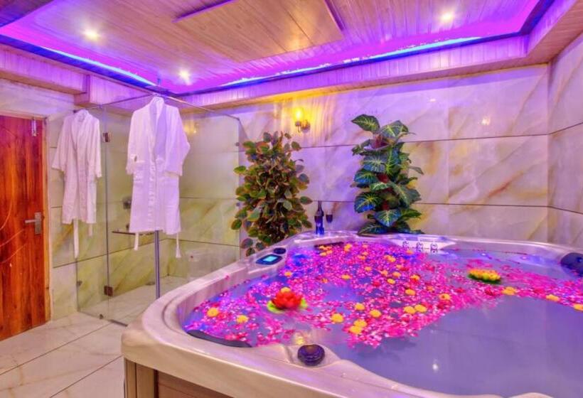 Grg Hotel Samiru Manali Near Durga Temple