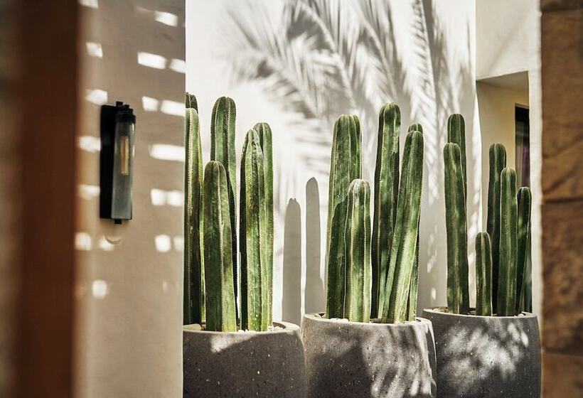 ホテル Four Seasons Resort And Residences Cabo San Lucas Cabo Del Sol