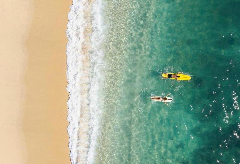 ホテル Four Seasons Resort And Residences Cabo San Lucas Cabo Del Sol