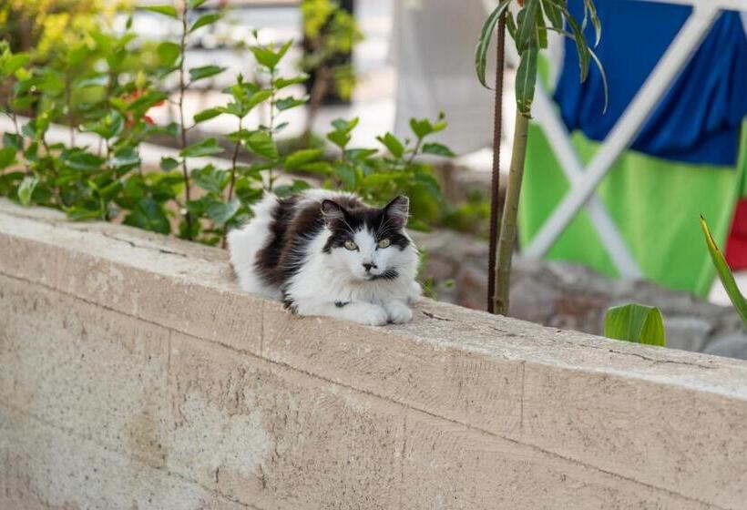 בית מלון כפרי Haraki Sand Beach