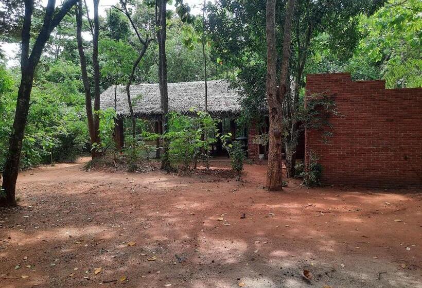 酒店 Hornbill Forest Habarana