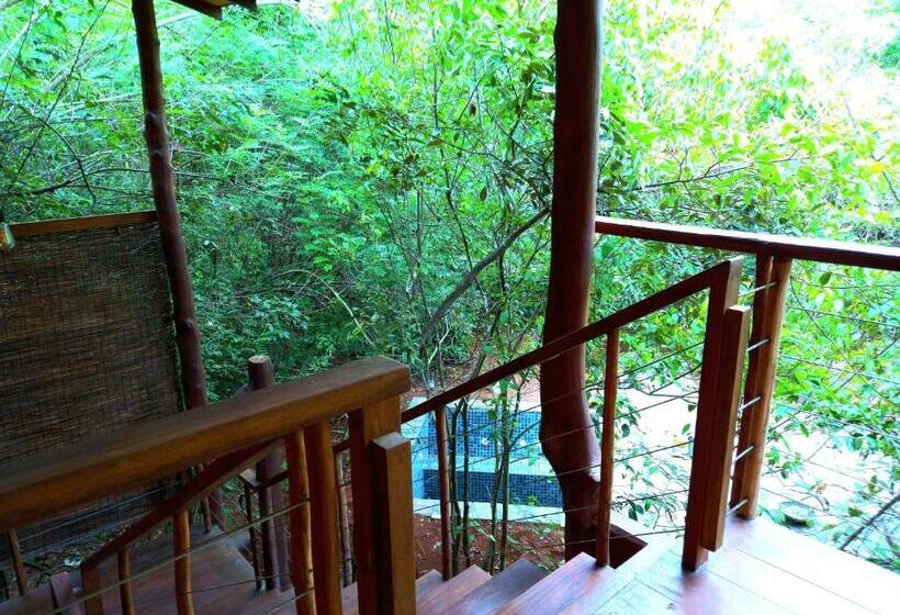 酒店 Hornbill Forest Habarana