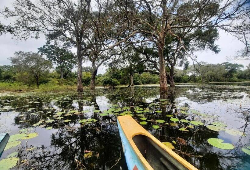 酒店 Hornbill Forest Habarana