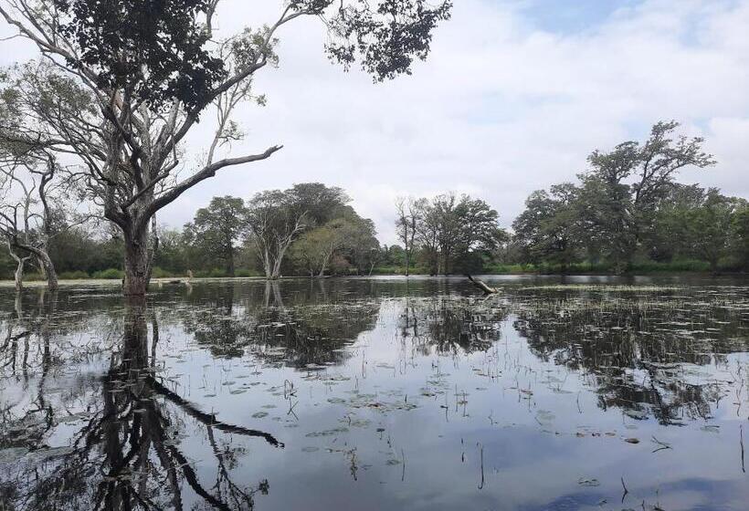 酒店 Hornbill Forest Habarana