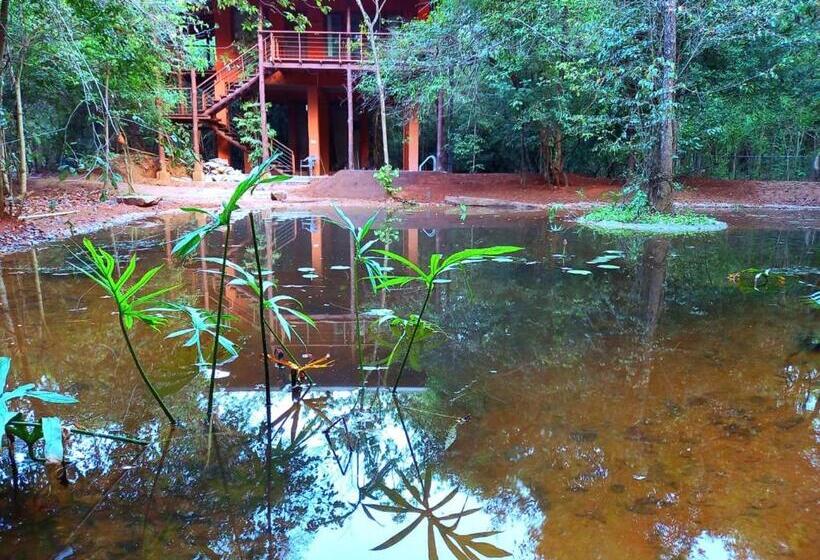 酒店 Hornbill Forest Habarana