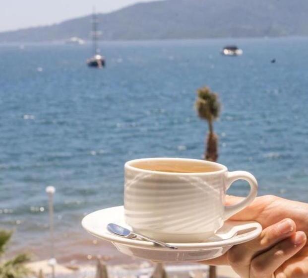 فندق Point Beach