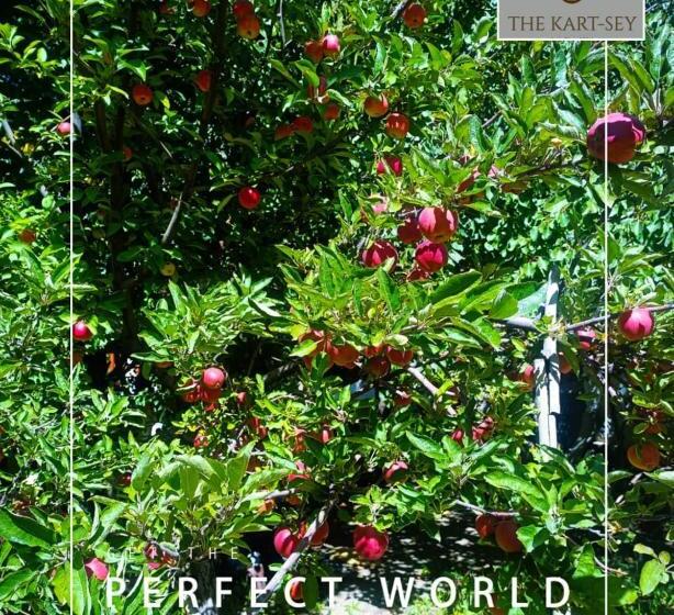 Hotel The Kart Sey Ladakh