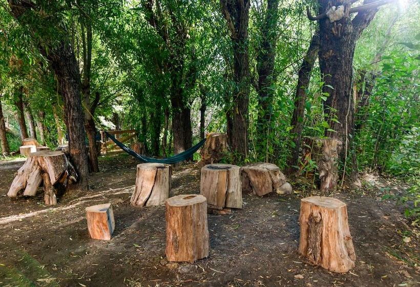 Hotel The Kart Sey Ladakh