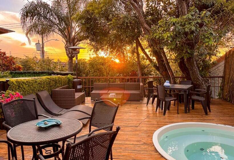 ペンション Bambú Lodge San Jose Airport