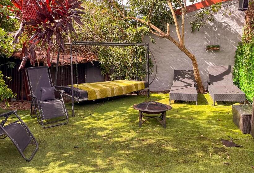 ペンション Bambú Lodge San Jose Airport