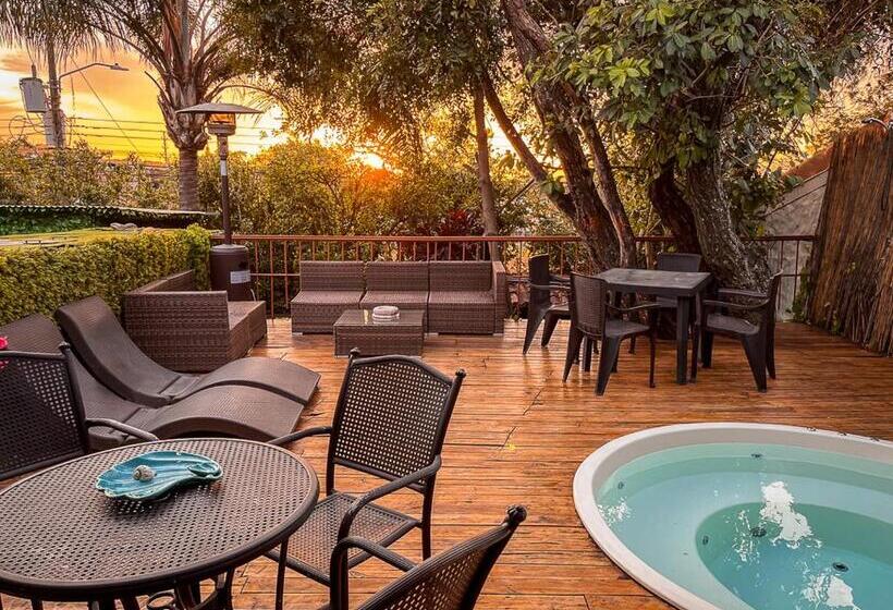 ペンション Bambú Lodge San Jose Airport