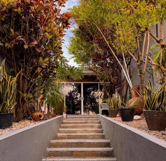 ペンション Bambú Lodge San Jose Airport