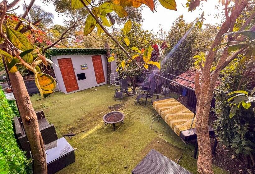 ペンション Bambú Lodge San Jose Airport