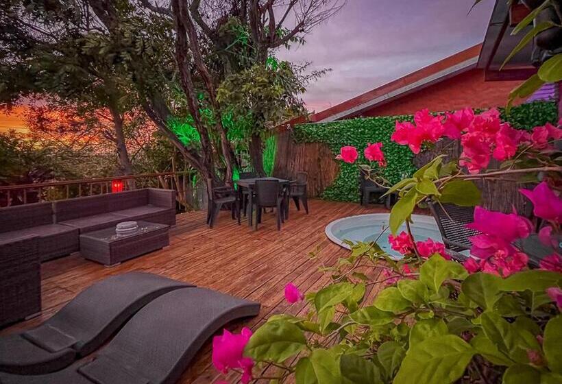 ペンション Bambú Lodge San Jose Airport