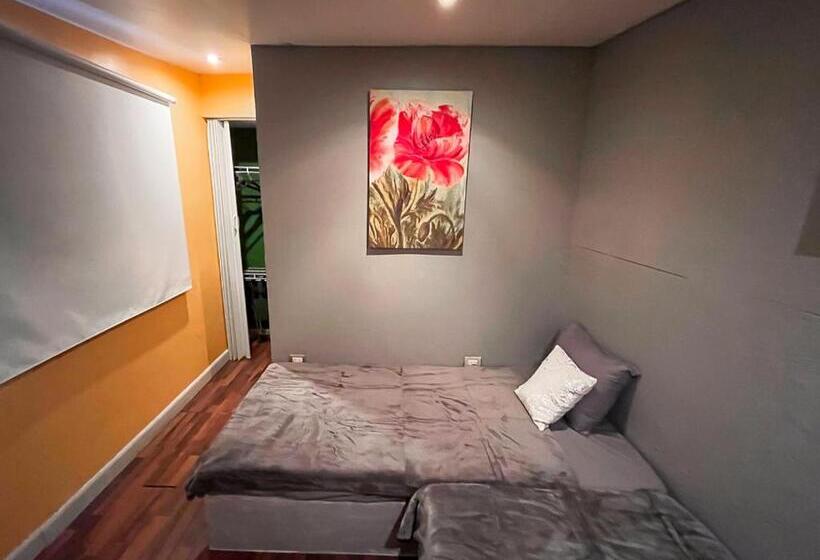 ペンション Bambú Lodge San Jose Airport