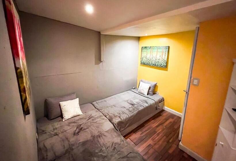 ペンション Bambú Lodge San Jose Airport