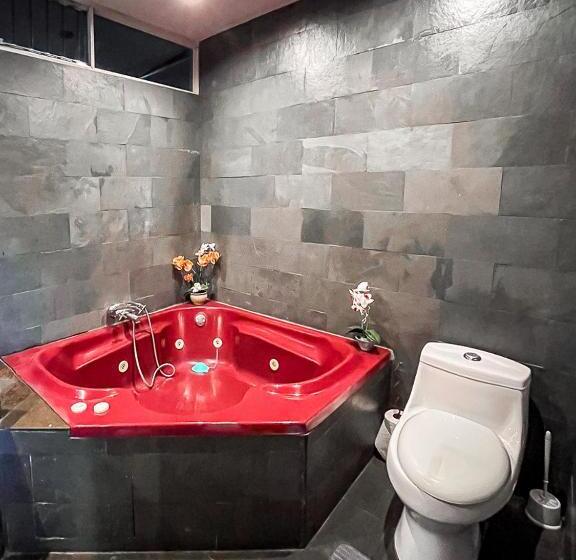 ペンション Bambú Lodge San Jose Airport