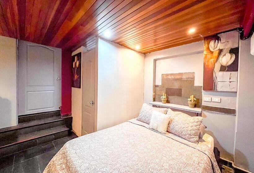 ペンション Bambú Lodge San Jose Airport