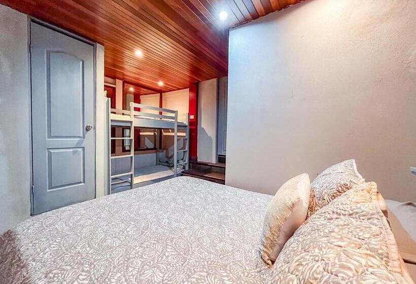 ペンション Bambú Lodge San Jose Airport