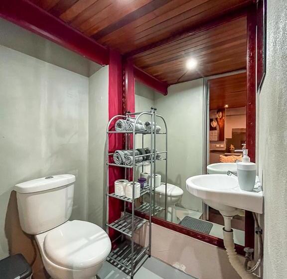 ペンション Bambú Lodge San Jose Airport